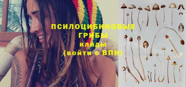 ешки Аркадак