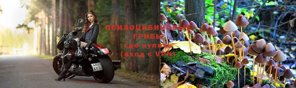 ешки Аркадак