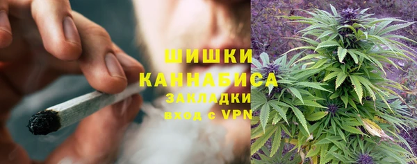 ешки Аркадак